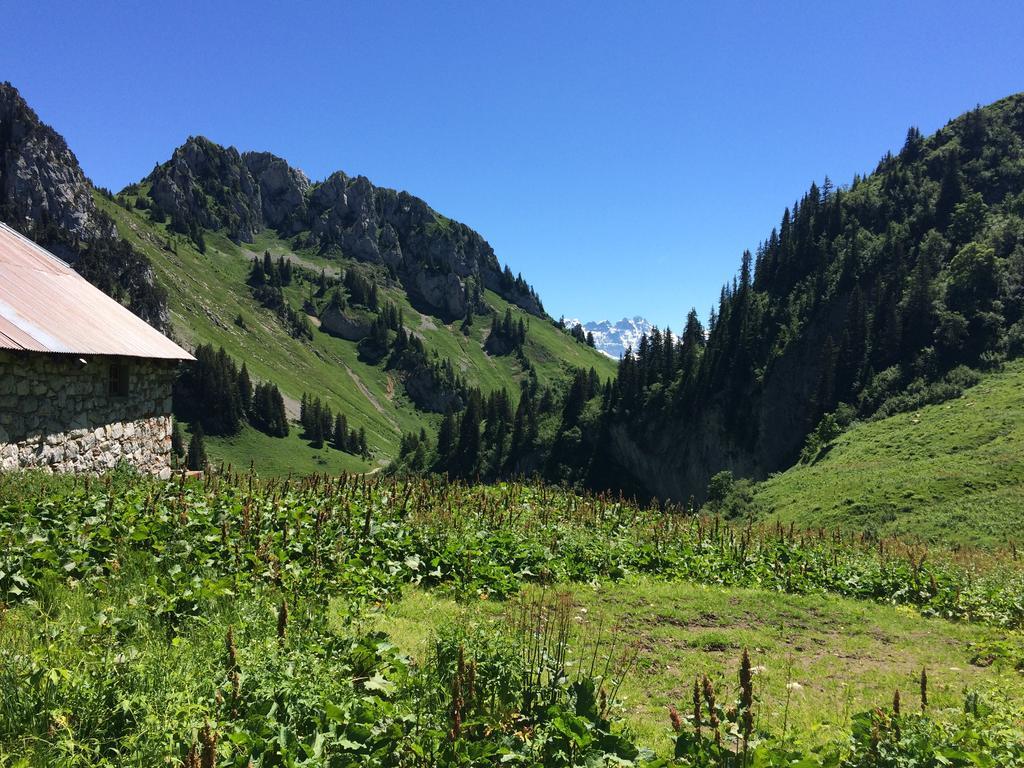 Bed and Breakfast Les Balcons Du Leman Thollon-les-Memises Exterior foto