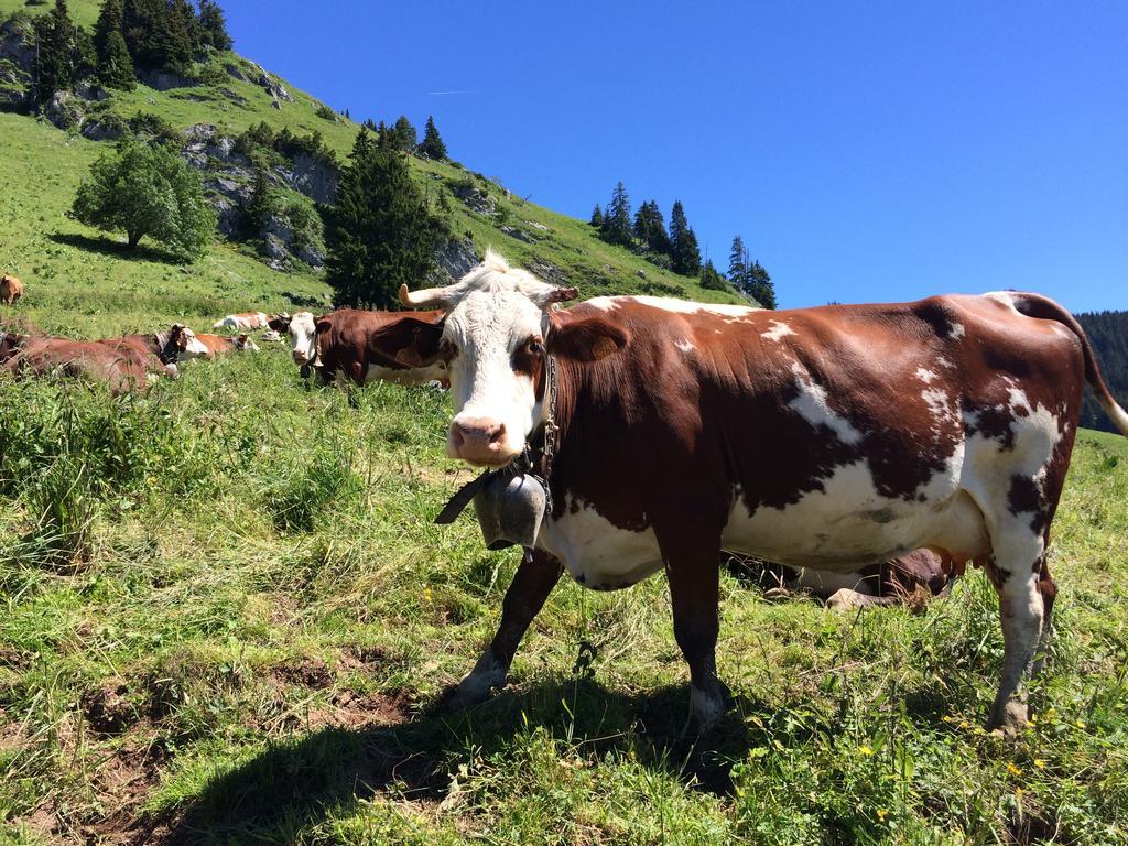 Bed and Breakfast Les Balcons Du Leman Thollon-les-Memises Exterior foto