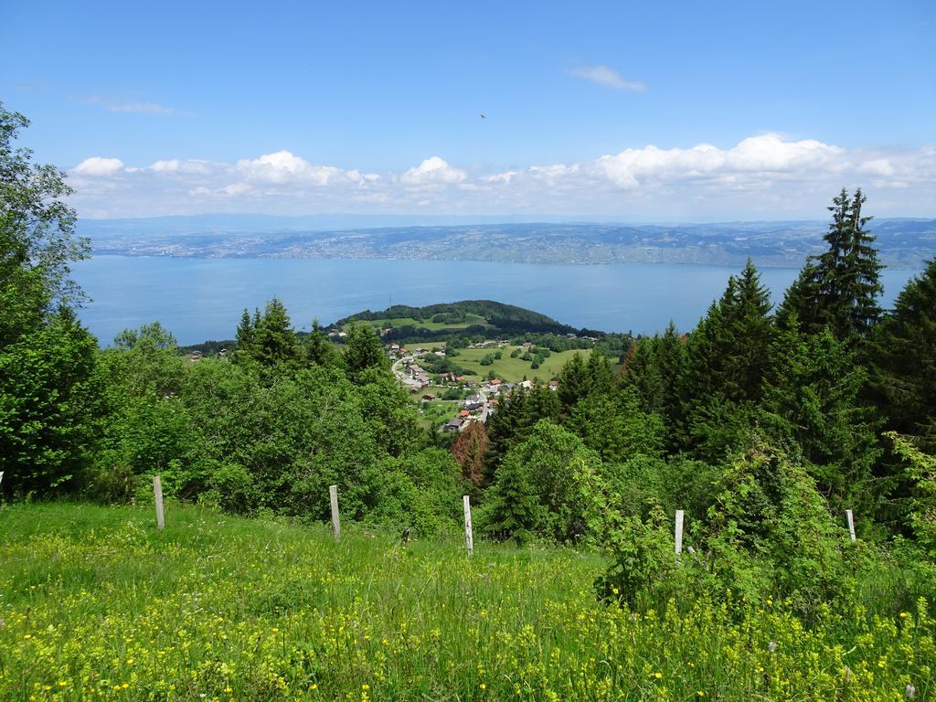 Bed and Breakfast Les Balcons Du Leman Thollon-les-Memises Exterior foto